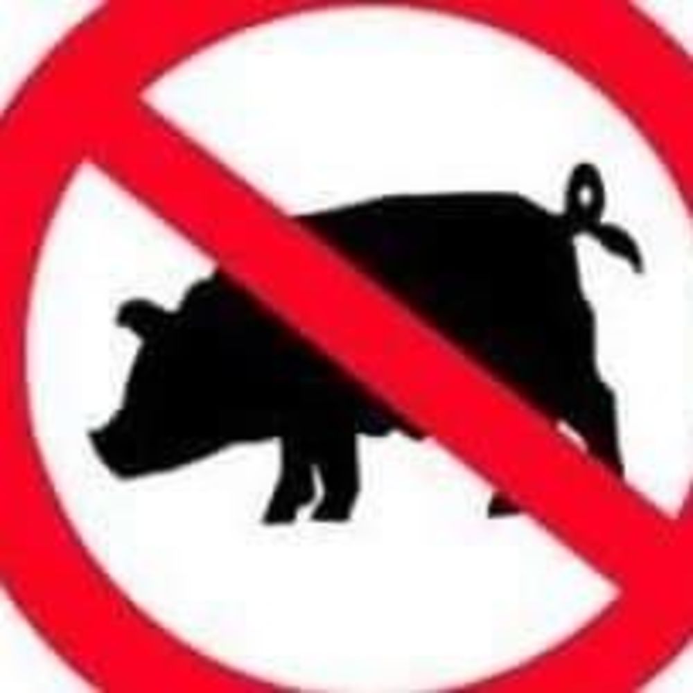 Meet your Posher, Omar